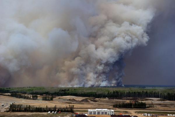 Alberta oil spared by way of fires