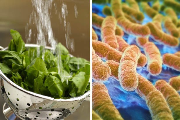Urgent UK health warning as salad leaves two dead and dozens more in hospital