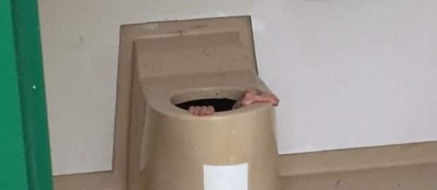 Norway man rescued after climbing into public toilet