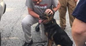 Wounded police dog found after Arkansas shooting