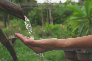 Rainwater Harvesting and Water Treatment: Essential Features for Modern Apartments