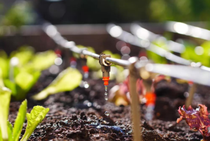 How to Install a Drip Irrigation System: A Step-by-Step Guide